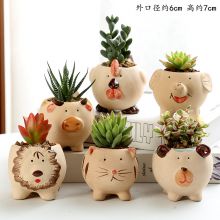 多肉花盆套装组合陶瓷大号清仓肉肉清仓包邮绿萝多肉植物特价花盆